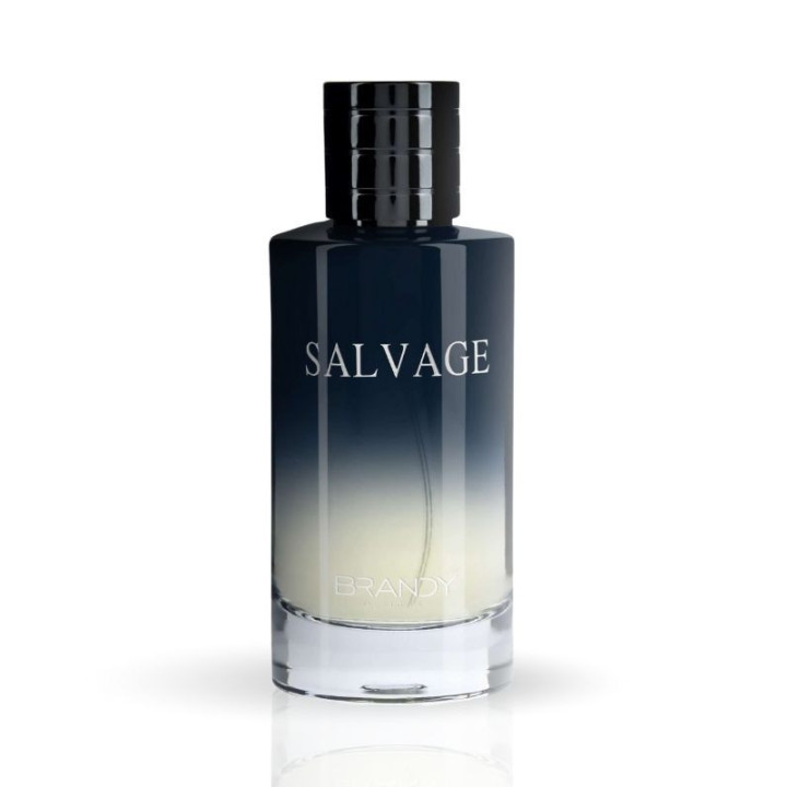 Brandy Salvage EDP 100ML For Men